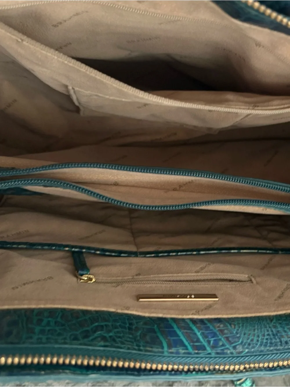 Brahmin this bag